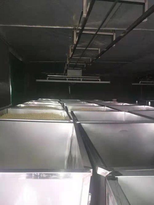 凉山木里大型豆芽清洗机每周回顾
